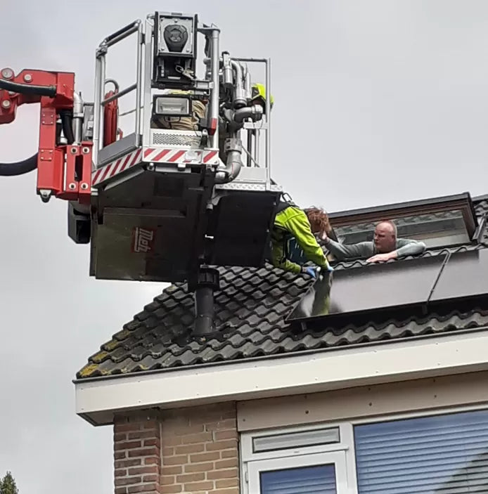 Dierenambulance: Vogels komen vast te zitten onder zonnepanelen!